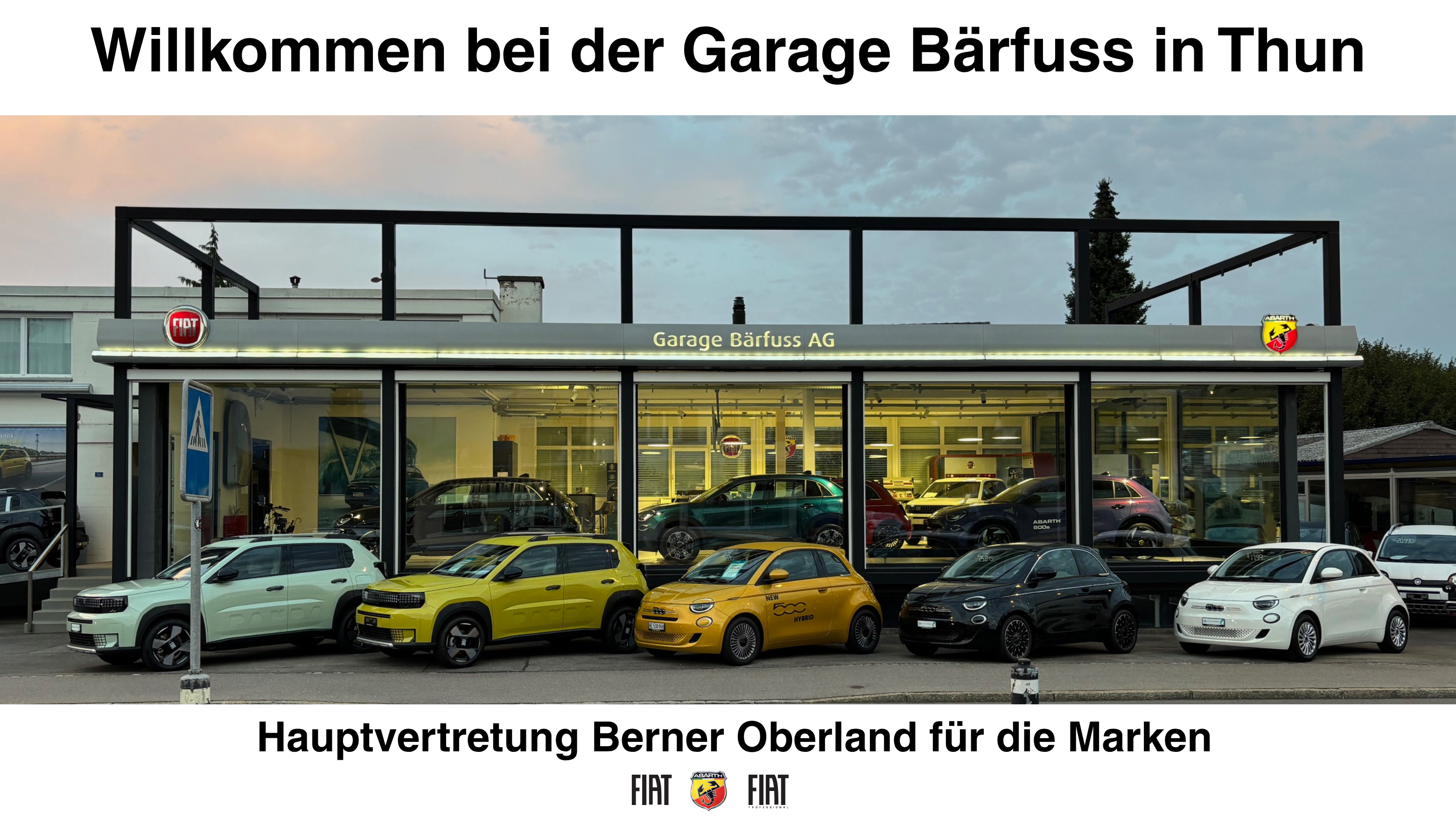 Titelbild Webseite Garage Bärfuss
